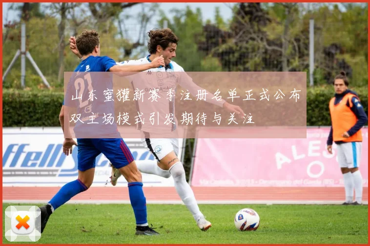 山东蜜獾新赛季注册名单正式公布双主场模式引发期待与关注